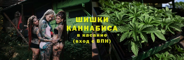 ГАЛЛЮЦИНОГЕННЫЕ ГРИБЫ Абдулино