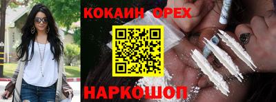 дурь Будённовск