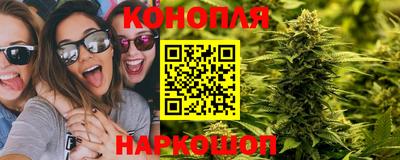 дурь Будённовск