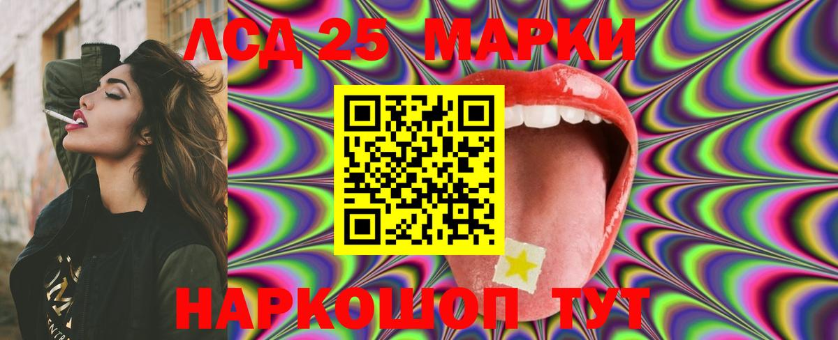 Псилоцибиновые грибы Новороссийск