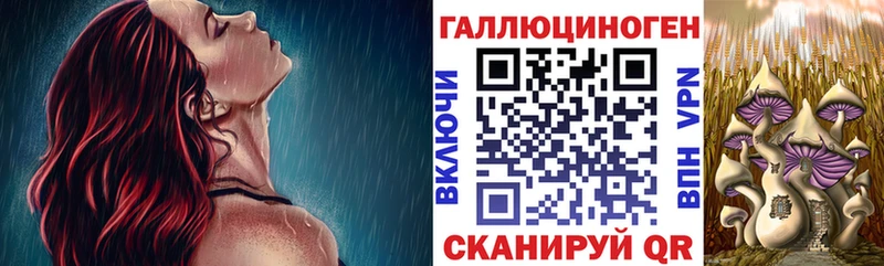 Псилоцибиновые грибы Magic Shrooms  наркошоп  площадка как зайти  Новороссийск 