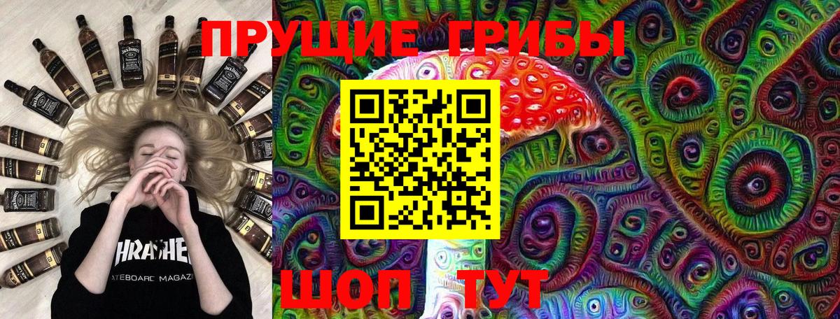 Новороссийск  Псилоцибиновые грибы мицелий  Вход с VPN 