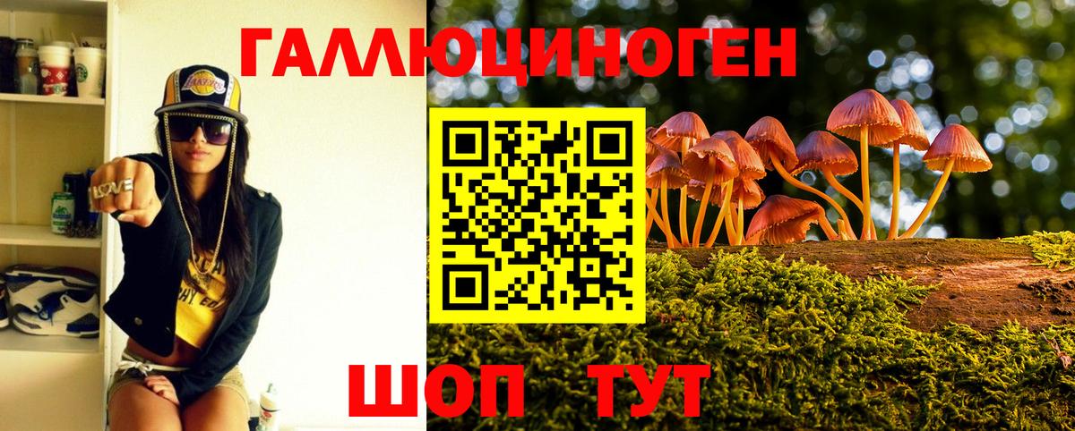 Галлюциногенные грибы мицелий Новороссийск