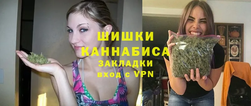 Канабис план  закладка  Новороссийск 